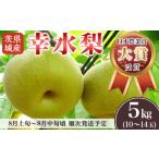 ふるさと納税 梨 茨城県 下妻市  先行予約 茨城県産 「 幸水梨 」 約5kg 2026年8月上旬 〜 8月中旬にかけて発送予定 こうすい 果物 くだもの フルーツ 国産 季…