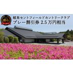 ゴルフ場利用券 T84-03 プレー割引券×25枚