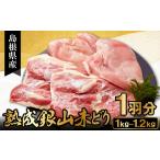 鶏肉 ムネ 熟成 地鶏の銀山赤どり精肉 1羽分