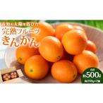 ふるさと納税 みかん・柑橘類 高知県 香南市 きんかん 金柑 合計500g（250g×2パック） 高知の太陽を浴びた完熟フルーツきんかん 先行受付- 果物 フルーツ 金…