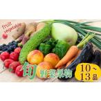 野菜類 ねぎ 野菜 果物 10 13 種類 セット