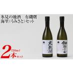 日本酒 純米大吟醸酒 氷見の地酒 有磯曙 海里