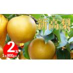 梨 <2026年9月下旬頃より出荷予定>