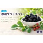 果物類 冷凍ブラックベリー約1kg ふるーつ