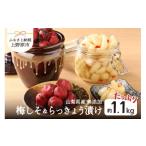 梅干 漬物 キムチ 手作り梅しそ漬け 600g