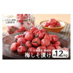 加工品等 梅干 無添加手作り梅しそ漬け 約1.2kg