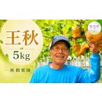梨 秋間梨園の梨 王秋 5kg