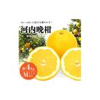 ふるさと納税 みかん�