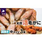 ふるさと納税 カニ 毛ガニ 北海道 浦河町  今が旬 漁協の活毛がに 中サイズ３尾セット 日付指定対応不可 02-176