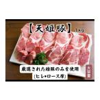 豚肉 セット 08-27-004 天姫豚 とんかつセット1kg