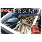 旬の鮮魚等 伊勢湾産 海産物セット 魚 貝 干物