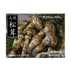 野菜類 きのこ 8-F01 松茸