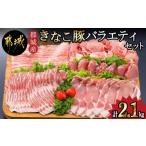ふるさと納税 豚肉 セット 宮崎県 都城市 「きなこ豚」バラエティ2.1kgセット_MJ-1205_(都城市) ブランド豚 豚肩ロース 豚バラしゃぶしゃぶ肉 ロース生姜焼き …