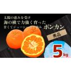 ふるさと納税 みかん・柑橘類 高知県 須崎市 秀品 ポンカン 5kg 早期受付 2026年1月中旬より順次発送 安和ポンカン 贈答 用 ギフト 柑橘 椪柑 みかん フルーツ…
