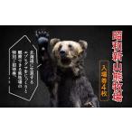 入場券 優待券 昭和新山熊牧場入場券4枚