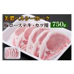 豚肉 ロース 美濃ヘルシーポーク 豚ローステキ