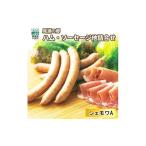 ふるさと納税 ハム・ソーセージ・ハンバーグ 群馬県 片品村 尾瀬の郷 ハム・ソーセージ他 詰め合わせセット（シェモワA）