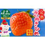 ふるさと納税 いちご 香川県 三木町 贈答用 完熟さぬき姫 約1.2kg | いちご 苺 さぬき姫 さぬきひめ 香川県オリジナル 希少 甘い 完熟 フルーツ 果物 旬 香川…