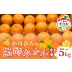 ふるさと納税 果物類 みかん 佐賀県 太良町 L-39 かねひろの黒酢みかん（小玉）　新鮮 黒酢 アミノ酸 みかん 蜜柑 ミカン 温州みかん 5kg 甘い 柑橘 果実 フル…