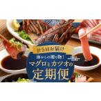 ふるさと納税 高知県 室戸市 【ふるさと納税】【5回定期便】海からの贈り物！マグロとカツオのお楽しみセット まぐろ カツオのたたき ネギトロ  刺身 海産物 …