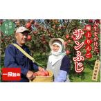17-A りんご サンふじ 5kg