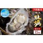 ふるさと納税 牡蠣 宮城県 東松島市 牡蠣 奥松島産 極上 殻付き 牡蠣 宮城県 2025年シーズン受付開始 11月中旬頃から順次発送予定 かき カキ 15個 加熱用 極上…