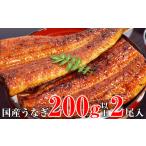 ふるさと納税 うなぎ 