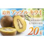 果物類 低農薬栽培 追熟アップルキウイ 20個