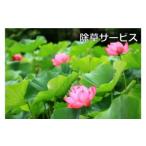 体験チケット ご先祖見守りサービス:除草サービス~お墓の管…