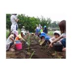 イベントやチケット等 農作業半日体験 体験型返礼品