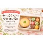 ケーキ カステラ チーズケーキ 商品 チーズタルト