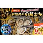 ふるさと納税 牡蠣 生牡蠣 佐賀県 太良町 宗徳丸の小粒カキ ９kg 牡蠣 かき カキ 宗徳丸 有明海 殻付きカキ 加熱用牡蠣 海鮮 加熱用牡蠣 小粒 竹崎カキ 新鮮 …
