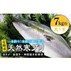 旬の鮮魚等 壱岐島産天然寒ブリ 7キロ台