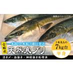 旬の鮮魚等 壱岐島産天然寒ブリ 一本丸ものサイズ7キロ台の…
