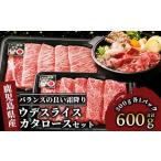 ふるさと納税 すき焼き 鹿児島県 指宿市  肉質等級5等級 鹿児島黒牛カタロース・ウデスライスセット(JAいぶすき／022-1140)D101 牛肉 すき焼き しゃぶしゃぶ …