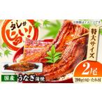 うなぎ うなぎ蒲焼 2尾