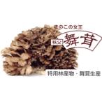 野菜類 きのこ 02-26080006-01