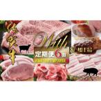 牛肉 ステーキ 定期便 佐賀牛with肥前さくらポーク