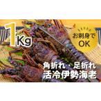 ふるさと納税 エビ 伊勢エビ 三重県 紀北町 伊勢えび(活冷)2〜7尾(1.0kg)バタバタしたら角と足がとれちゃいました 〈訳あり〉おせち お歳暮 刺身 天然 お…