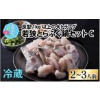 ふるさと納税 海鮮鍋 福井県 高浜町 先行予約 若狭とらふぐ鍋セットC(2〜3人前)| ふぐ 冷蔵 薬味付き てっちり鍋 切り身 若狭ふぐ 若狭フグ フグ鍋 河豚 …