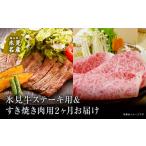 牛肉 ステーキ 2ヶ月定期便 極上の黒毛和牛