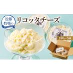 加工品等 チーズ 近藤牧場のリコッタチーズ180g×5個