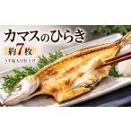 干物 カマス ひらき 田渕水産 一夜干し 白身魚