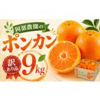 みかん 柑橘類 2027年 訳あり品 阿部農園の