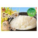 農薬 化学肥料不使用 真ちゃん米 5kg
