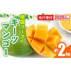 ふるさと納税 マンゴー 沖縄県 八重瀬町 先行受付 2025年発送 南国フーズのキーツマンゴー 約2kg - 先行予約 沖縄 産地直送 南国フルーツ 旬の味覚 沖縄県産 …