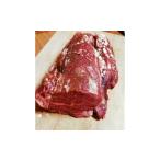 牛肉 ヒレ B74-58 ステーキ工房 ダ ロープ亭ヒレブロック食…