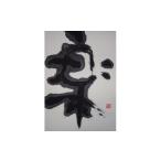 インテリア 絵画 思いやり型返礼品 世界に一つだけの障がい…