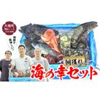 いくら 朝獲れ海の幸セット 旬の鮮魚 海藻などの詰合せ