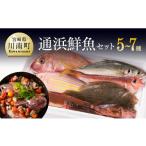 魚貝類 日向灘海の幸 通浜鮮魚セット 類 鮮魚